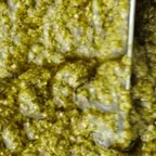 Pesto della casa — spécialité italienne servie au marché